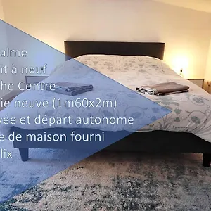 T2 Duplex Plein Centre - Entier - Nouveau Pamiers